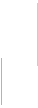 意外で素敵な出会い