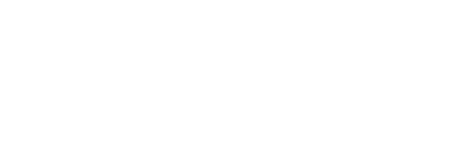 自家製コンソメ