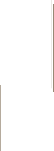 意外で素敵な出会い